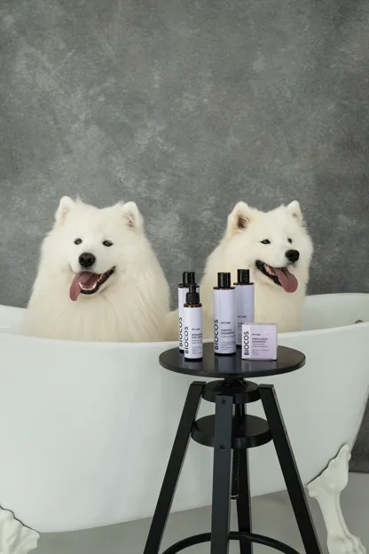 Silk Shampoo
