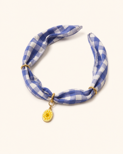 Blue Bandana & Charm Collar