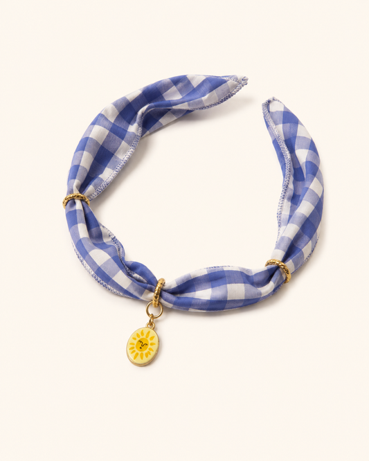 Blue Bandana & Charm Collar