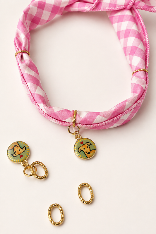 Pink Bandana & Charm Collar