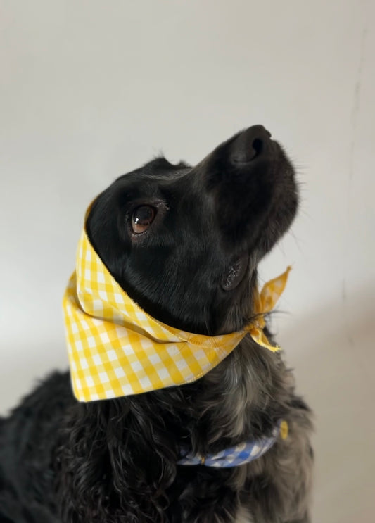 Yellow Bandana