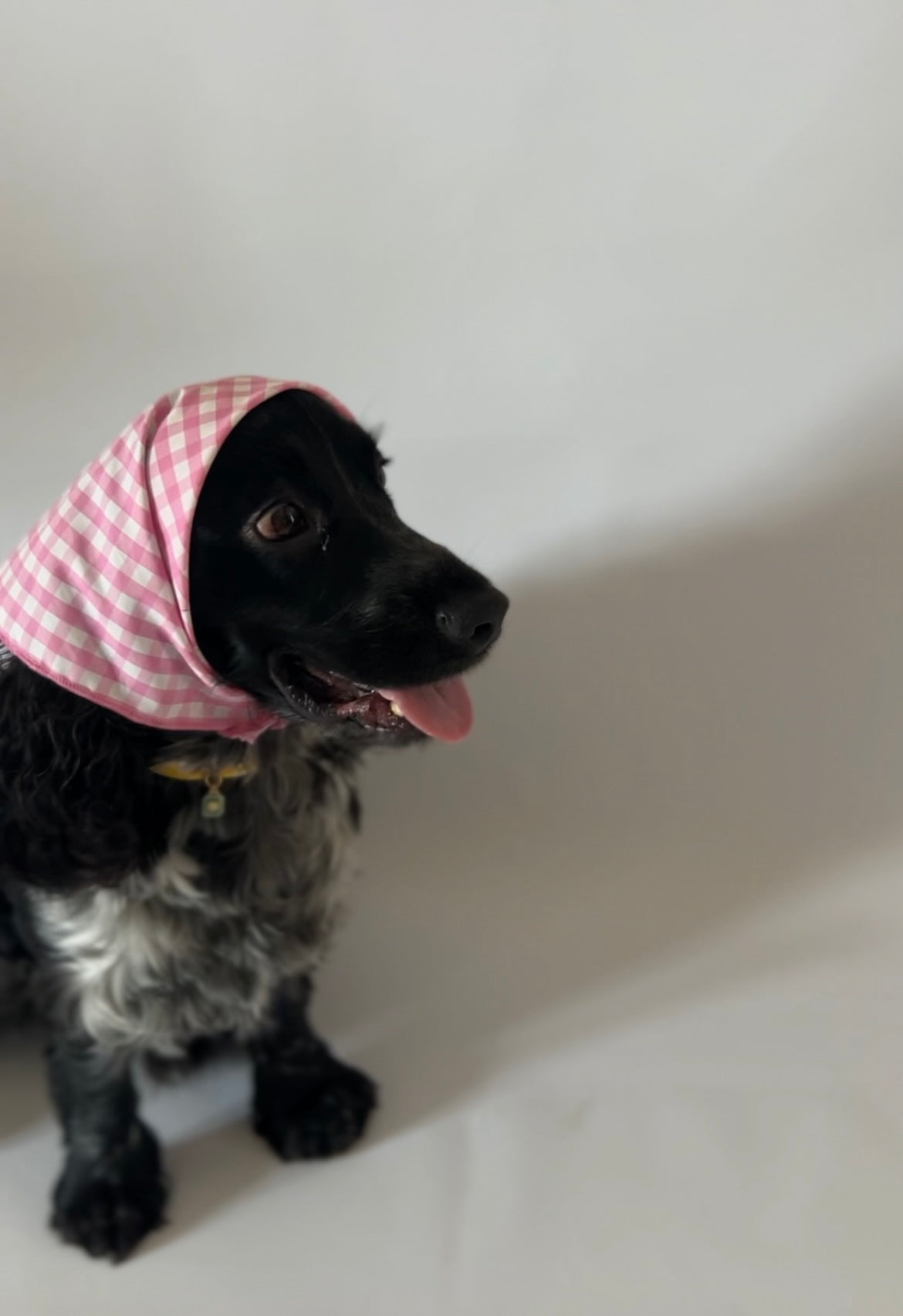 Blue Bandana
