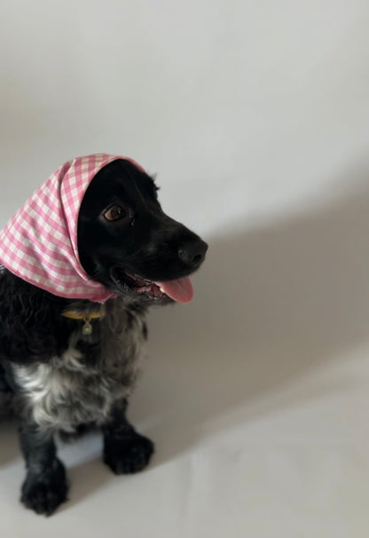 Blue Bandana