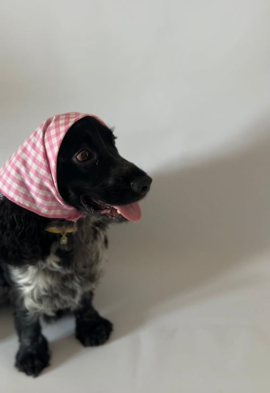 Pink Bandana