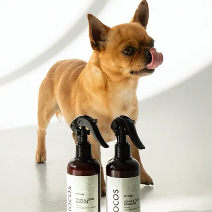 Stain & Odor Remover
