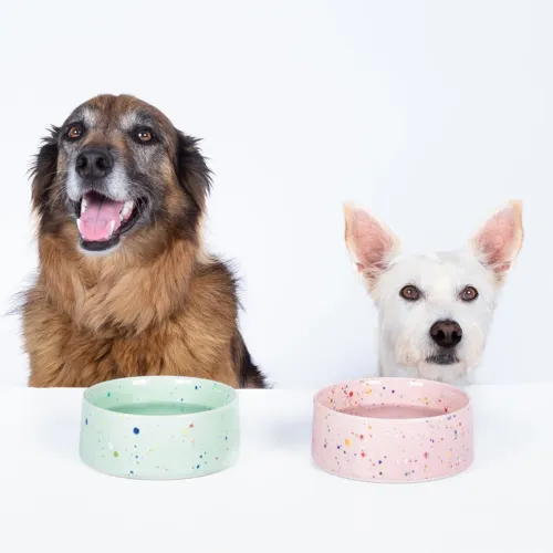 Pet Bowl Green Large