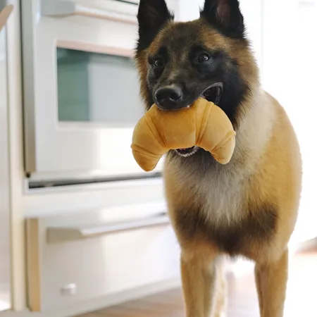 Croissant Plush Toy