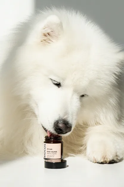 Paw Helper Balm