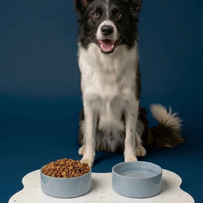 Dog beside food and water bowls on a bone-shaped placemat