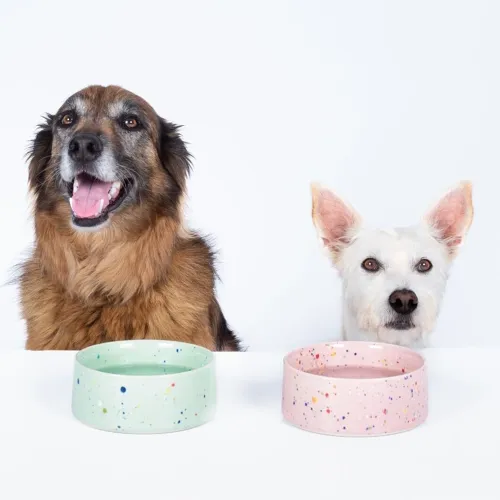 Green Ceramic Dog Bowl Set