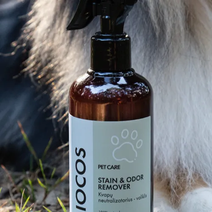 Stain & Odor Remover