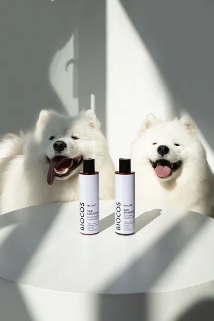 Silk Shampoo